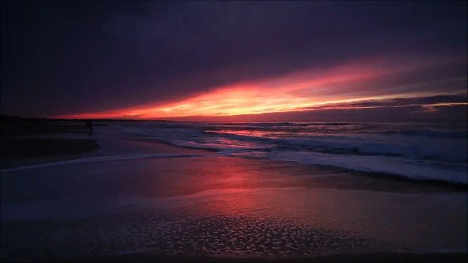 Pacific Ocean - Moody Electronica (Oct 2025) cover artwork
